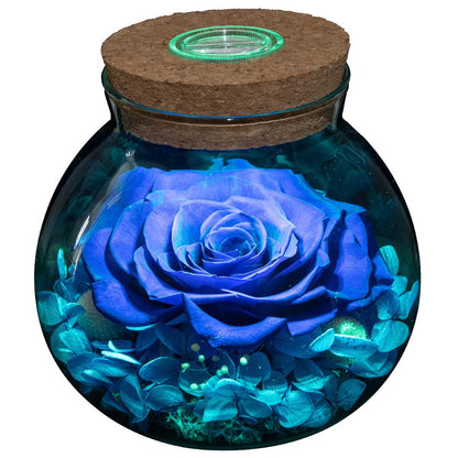 Wishing Bottle Eternal Rose Flower Eternal Valentine's Day Gift LED Light Home Ornament Decoration Holiday Gift