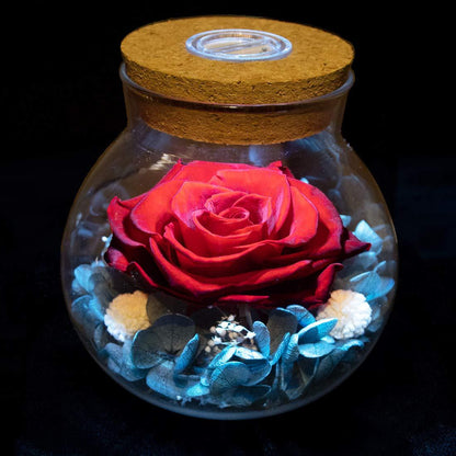 Wishing Bottle Eternal Rose Flower Eternal Valentine's Day Gift LED Light Home Ornament Decoration Holiday Gift