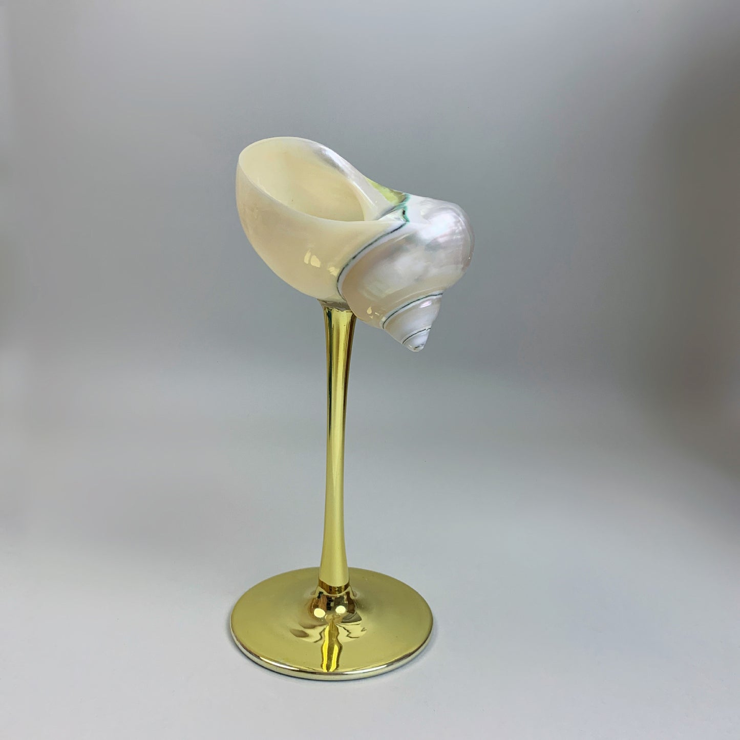 DIY shell conch wine glass creative souvenir ornament cup birthday gift