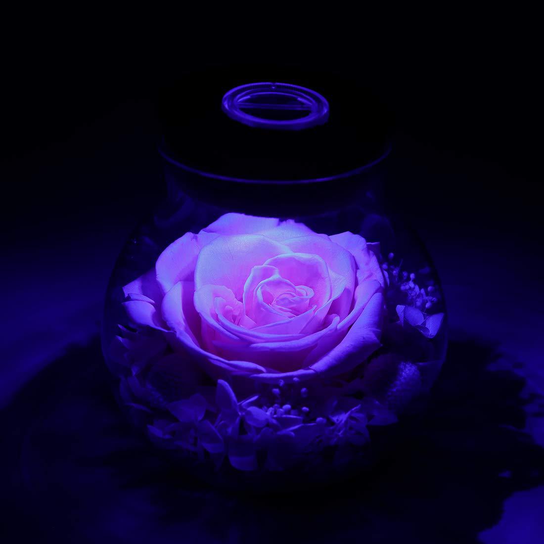 Wishing Bottle Eternal Rose Flower Eternal Valentine's Day Gift LED Light Home Ornament Decoration Holiday Gift