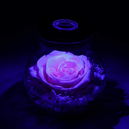 Wishing Bottle Eternal Rose Flower Eternal Valentine's Day Gift LED Light Home Ornament Decoration Holiday Gift