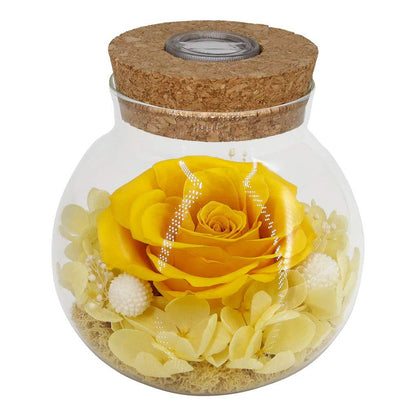 Wishing Bottle Eternal Rose Flower Eternal Valentine's Day Gift LED Light Home Ornament Decoration Holiday Gift