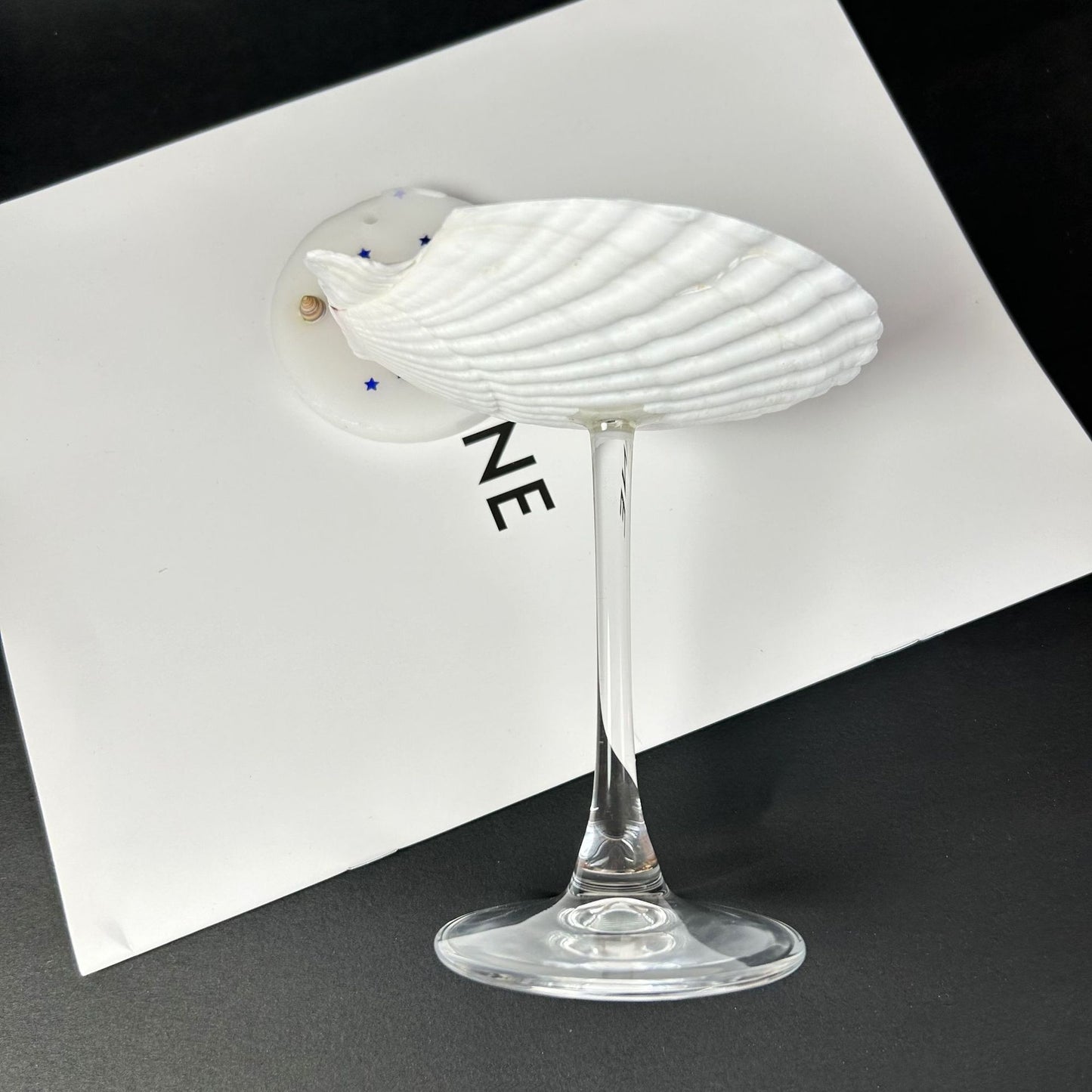 DIY shell conch wine glass creative souvenir ornament cup birthday gift